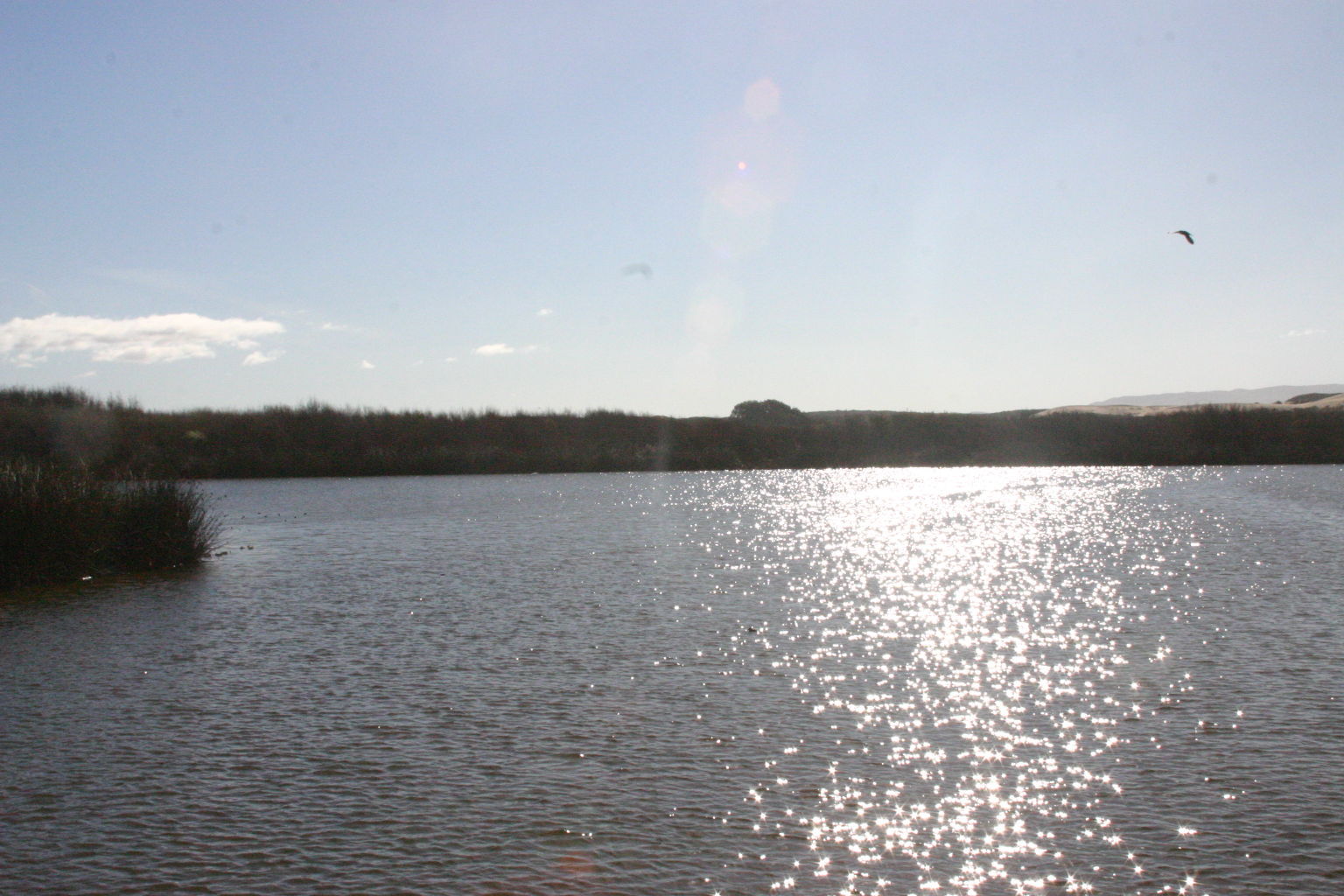 Oso Flaco Boardwalk